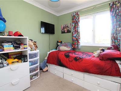 Picture 11